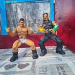 Vand Figurine WWE