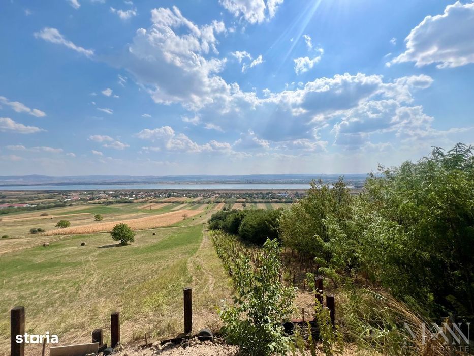 Pivnita cu parcela de vie - de vanzare, Uileacu de Cris, Bihor