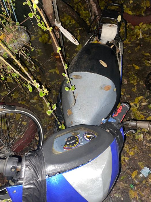 Scuter chinezesc gy6