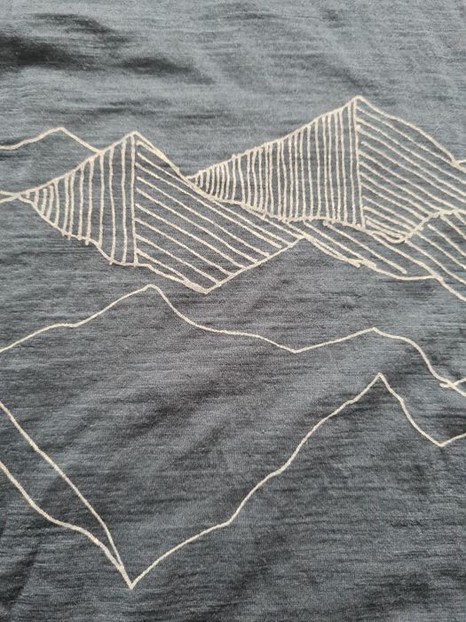 Tricou bărbați merino Icebreaker Spector SS Crew, mărimea M