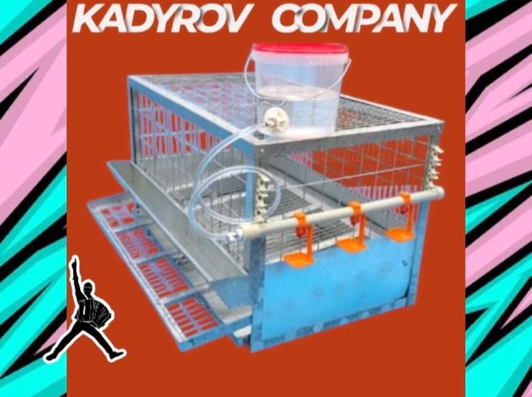 Клетки для кур несушек: обеспечьте максимум удобства!