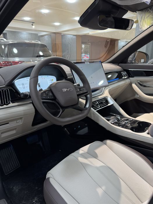 BYD Champion Plus Smart