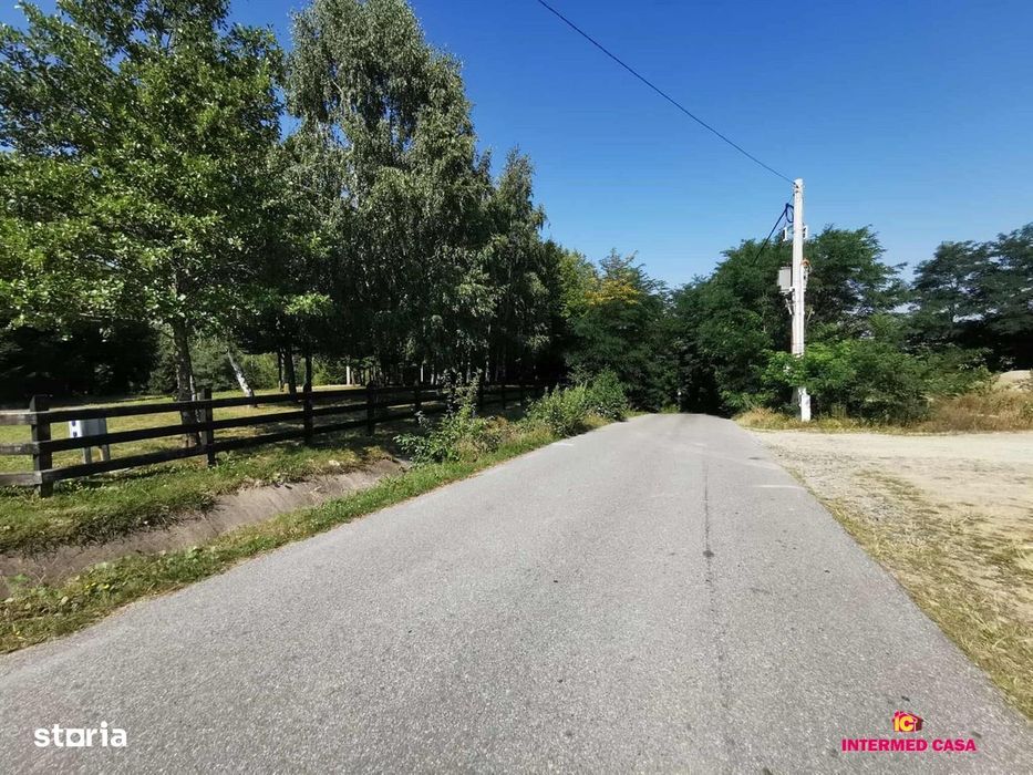 Teren in localitatea Cartisoara