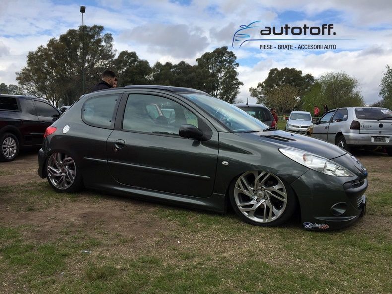 Suspensie sport reglabila Peugeot 207 (06-12) FK Germania