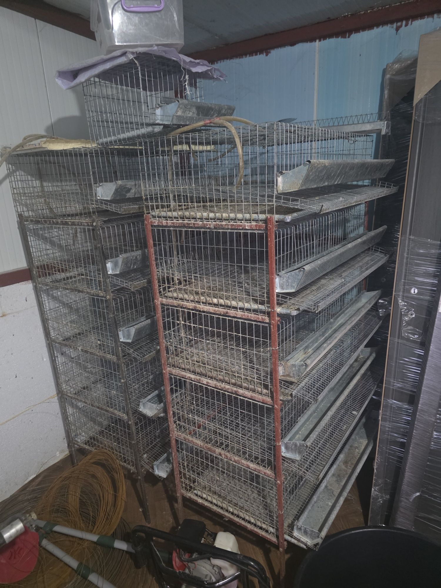 Cuști prepelite + 2 maternități + incubatoare cleo