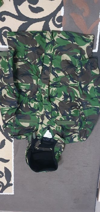 Scurtă mozaic pădure