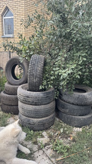 Автошины (шины) резина