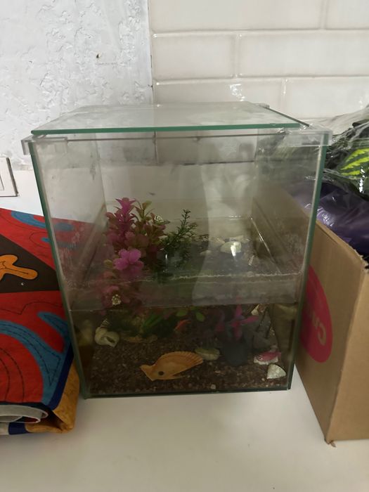 Аквариум с рыбками