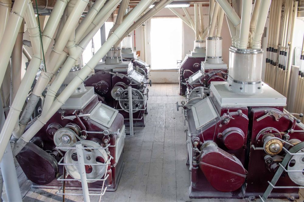 Vand moara faina grau