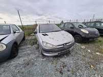 Dezmembrez peugeot 206