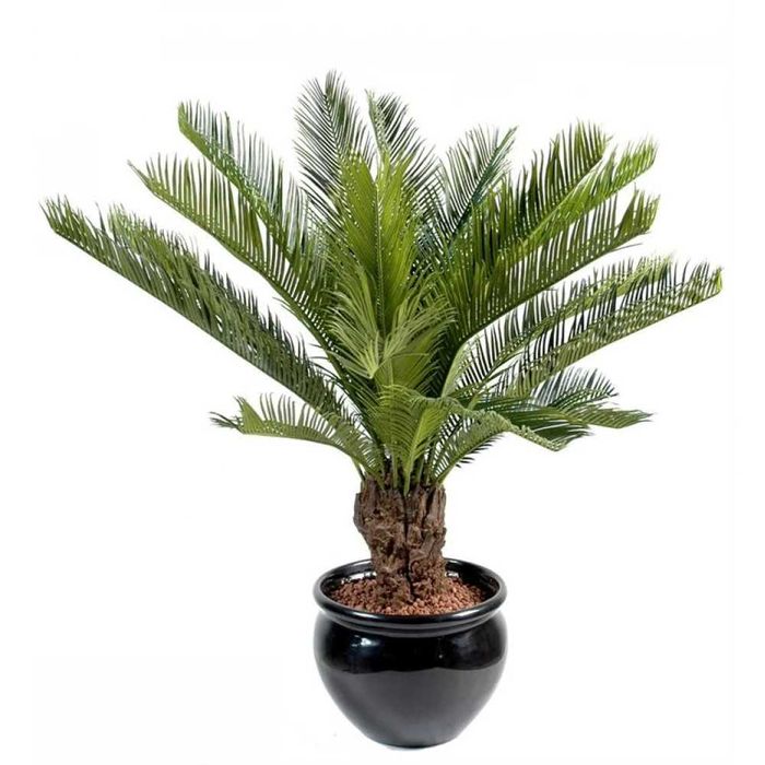 Palmier artificial Planta Cycas, verde, 115 cm