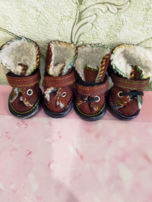 Обувь и шлейка поводок на мелкую собаку