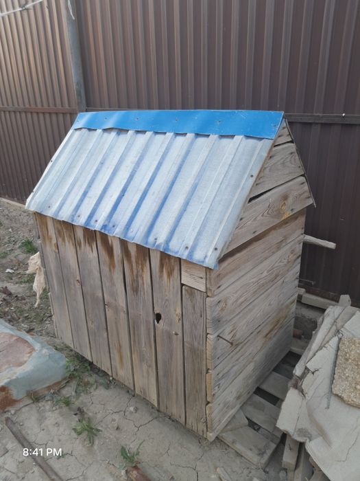 Иттн уясы сатылады