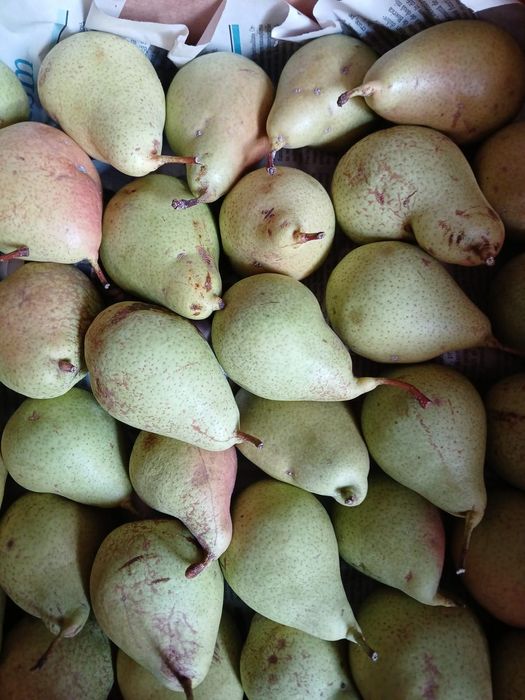 De vanzare Pere cure