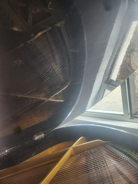 Петроф роял кабинетен роял