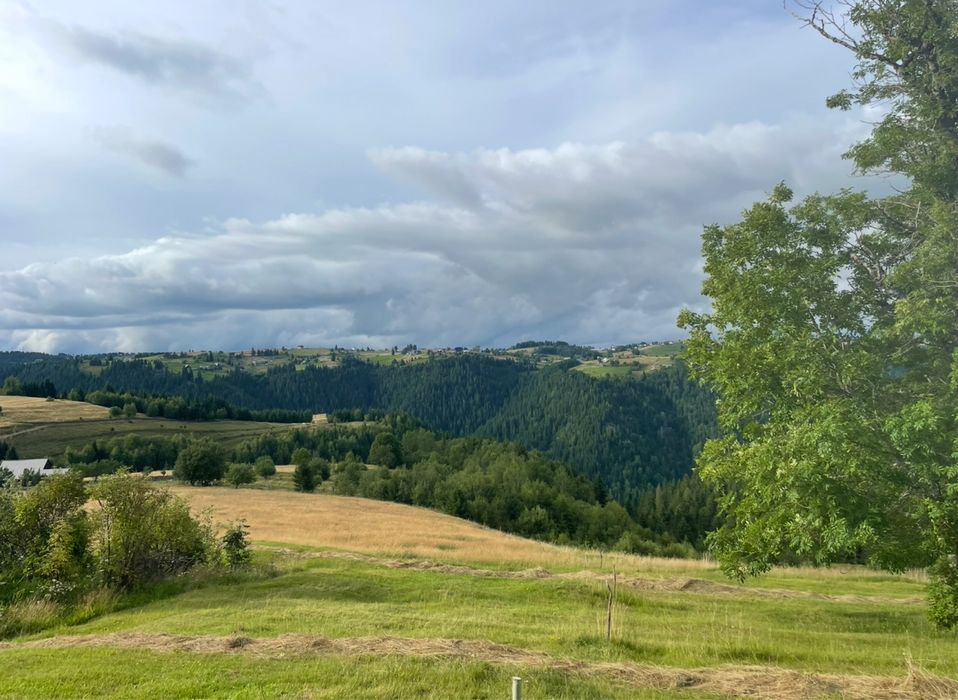 Teren de vânzare la munte în Măguri, Măguri-Răcătău,9185 mp, pt Cabana