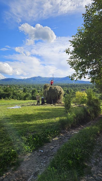 Teren intravilan Breb, Maramureș
