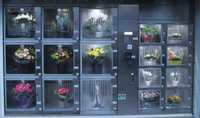 Automat , Tonomat , Vendomat vanzare flori , pentru florarii