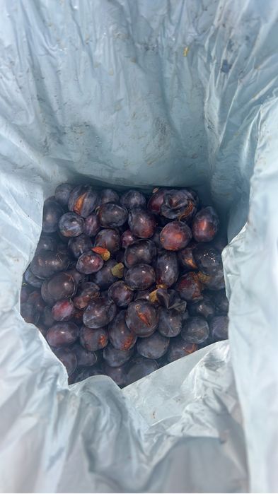 Vand prune pentru tuica