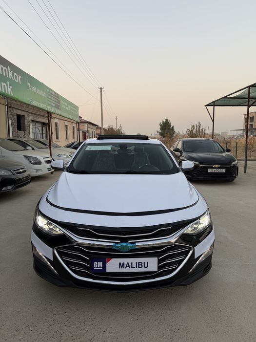 Malibu 2 primier tozza 20/2021