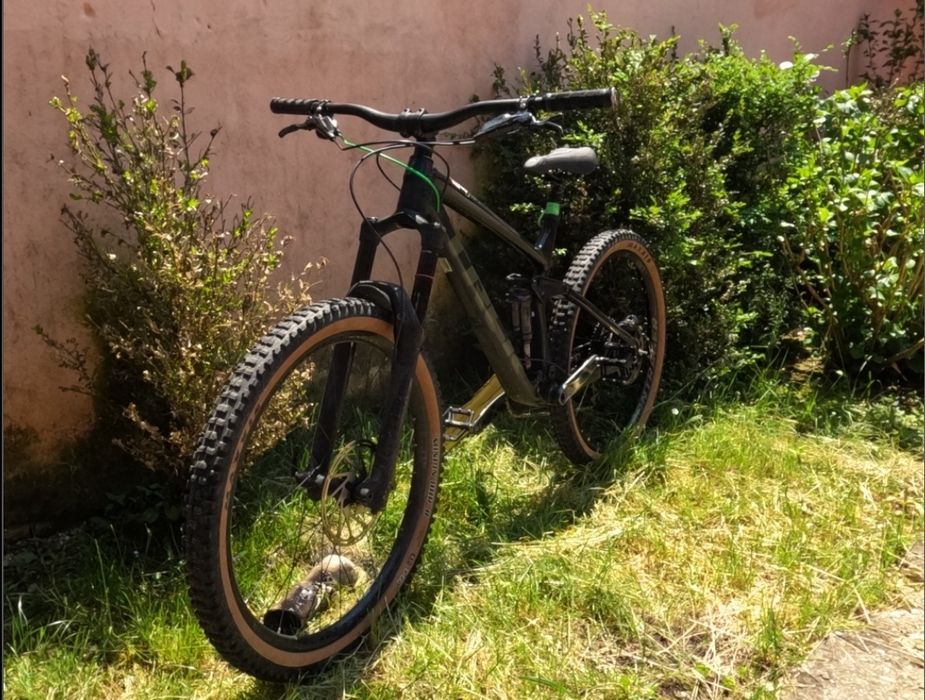 Trek remedy 8 2021