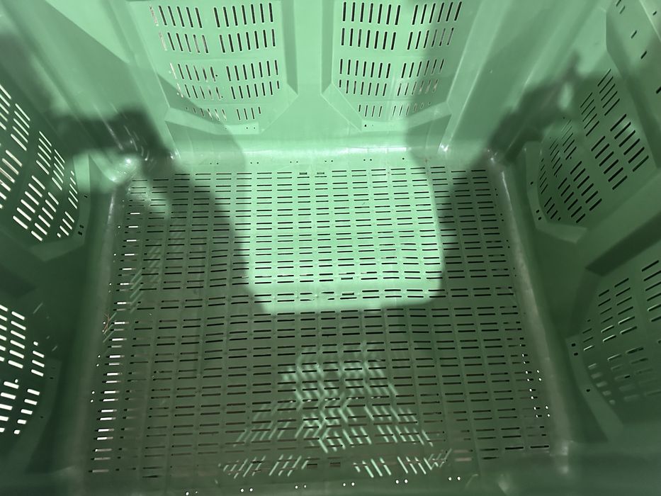 Boxpaleti plastic