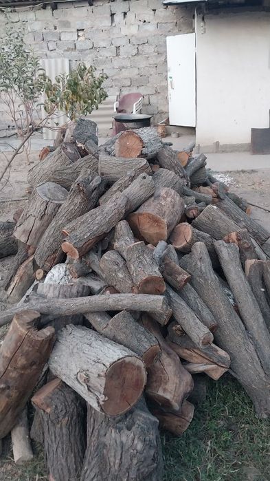 Oʻtin sotiladi! Chirchiqda