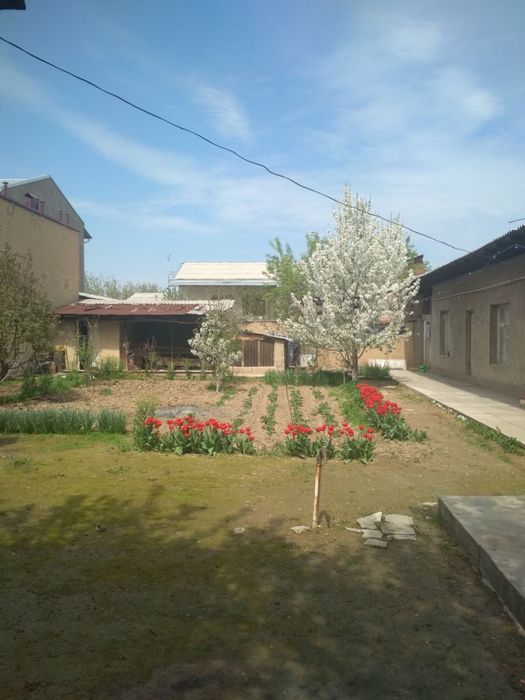 Ховли сотилади янги 16 йиллик  Бунедкор махалла ер хисобида