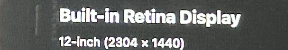 APPLE Macbook 12 inch