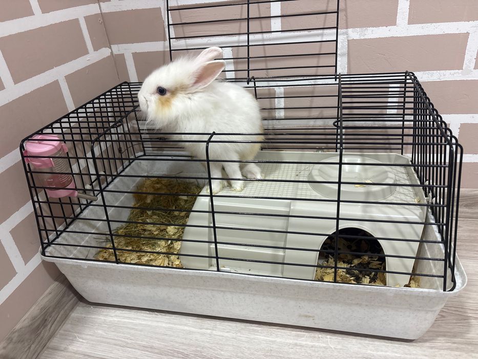 Декоративно зайче