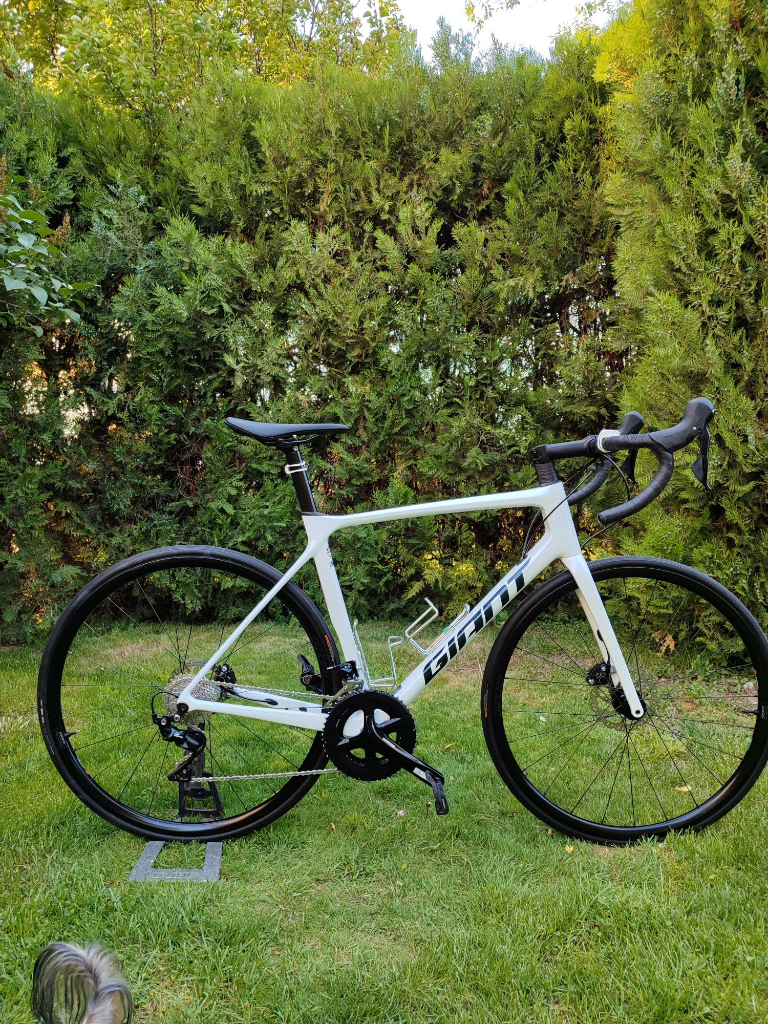 Giant TCR Carbon 28 цола сет 2×11 105