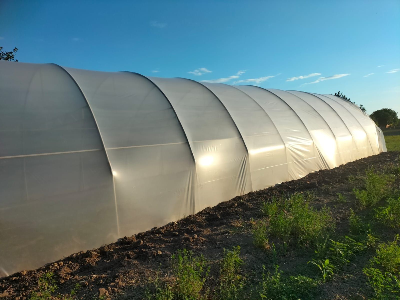 Solarii montabile ușor  pentru legume sau flori  ieftine