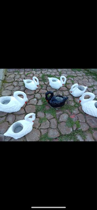 Lebada(Ornament Gradica-Curte)