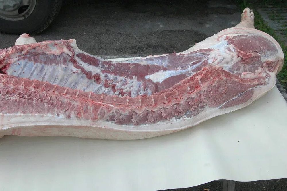 Продам мясо свинины туша пол туши