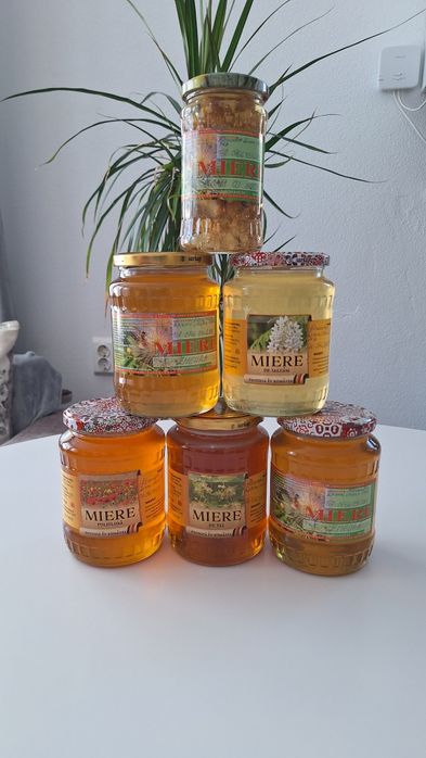 Miere bio din stupina noastră