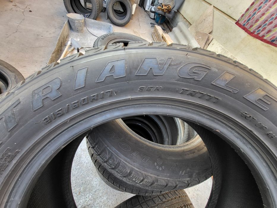 Шины Triangle зимние