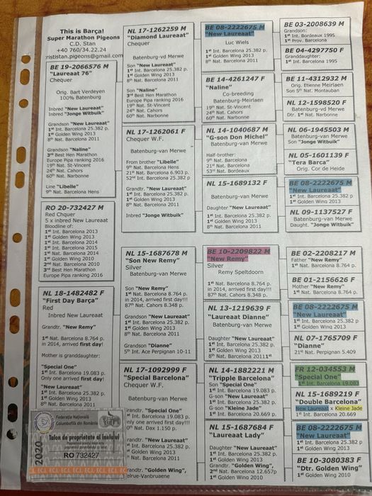 Porumbei voiajori cuibare ceramica si gratare