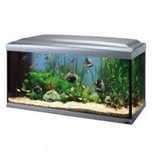 Acvariu 110x45x50 Substrat cioturi, filtru intern, incalzitor, lumina