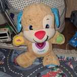 Catelus interactiv