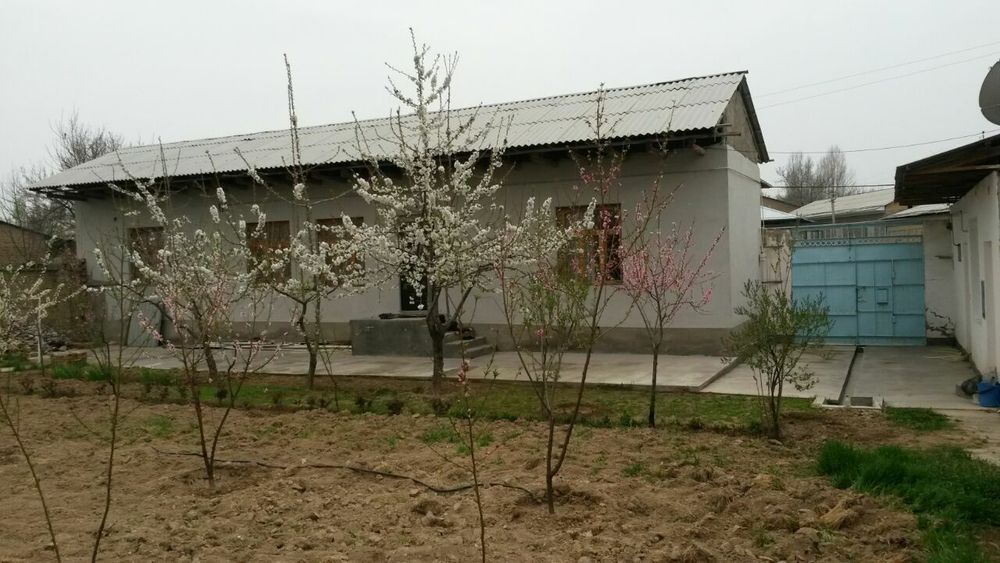 Келесда 2 сотик уй сотилади ёки домга алишилади.