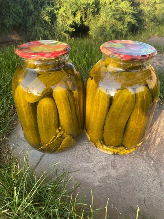 Продам банки 2л.