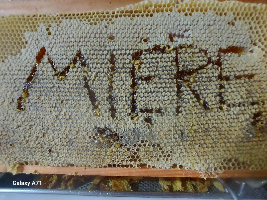 MiereCurataCaAltadata...stupinaMihalache