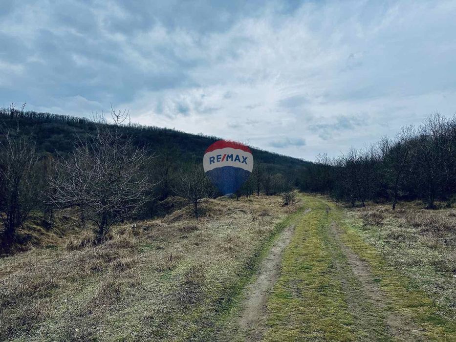 Продава се Парцел в с. Църква, Област Добрич - 25000 кв.м за 3 €/кв.м - Снимка #6