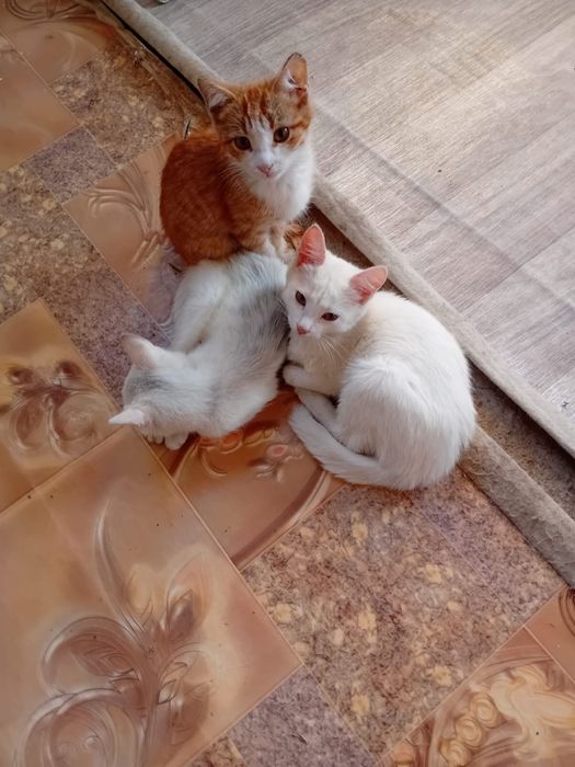 Кімге керек