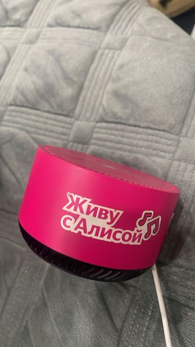 Алиса в хорошем состоянии