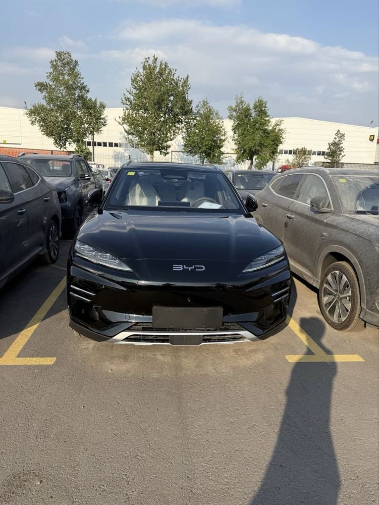 Byd chempion 2026 smart