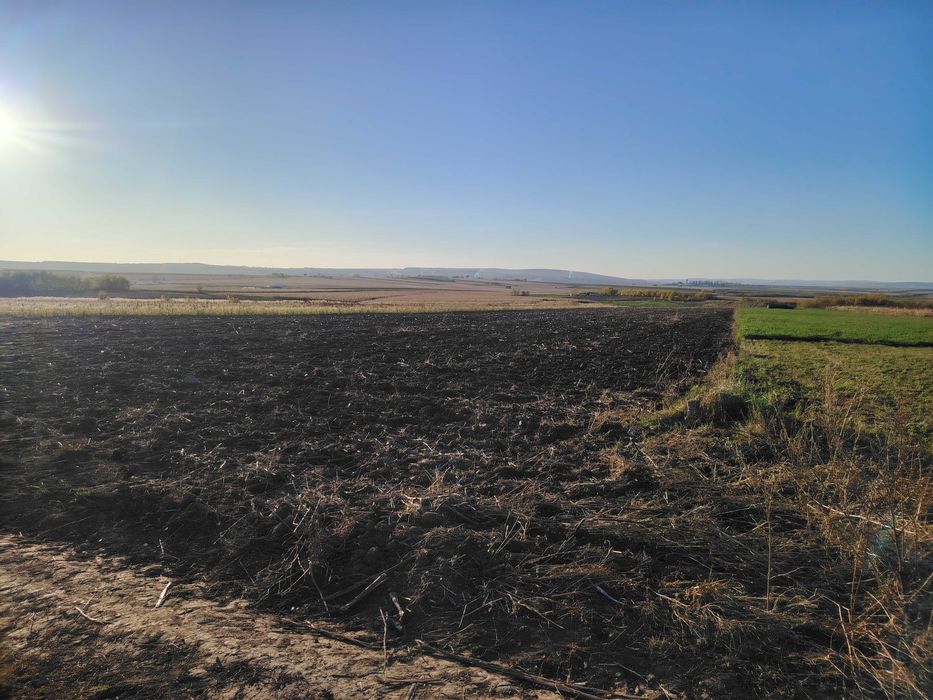 Teren intravilan+extravilan