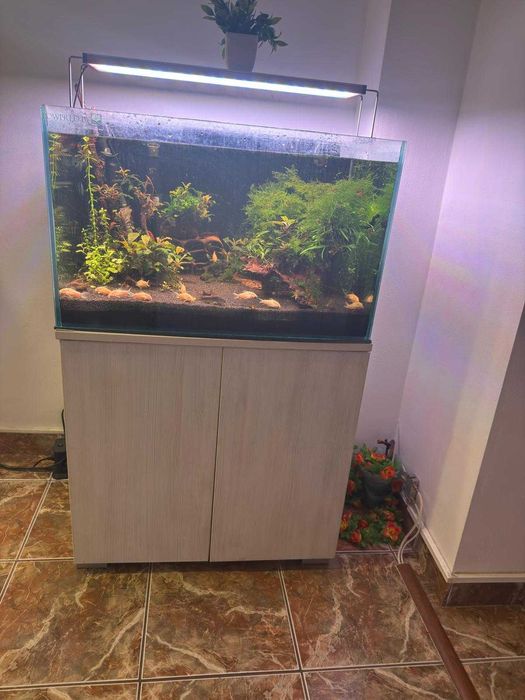 Acvariu 117 litri cu stand