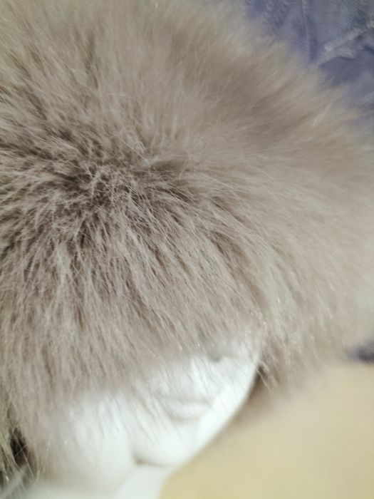 Продам шапку женскую новую