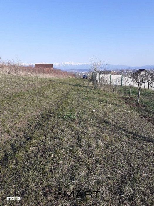 Teren intravila Sura Mare 550mp